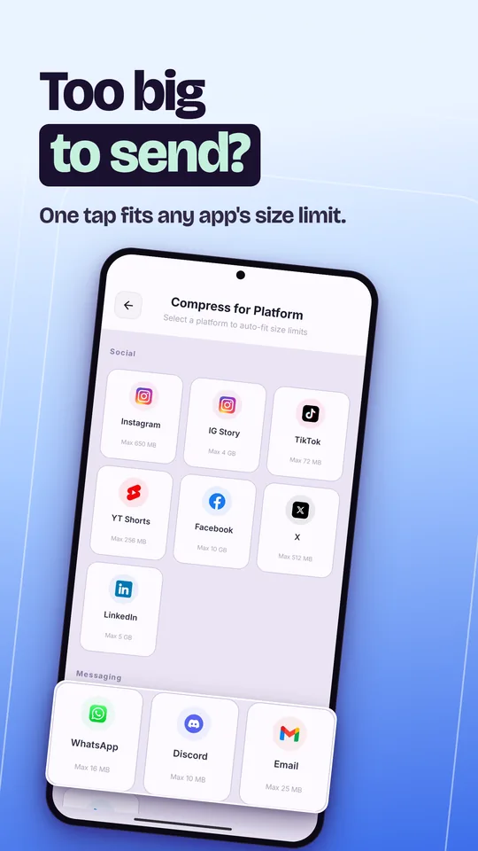Platform presets for Instagram, TikTok, WhatsApp, Discord, Email and more